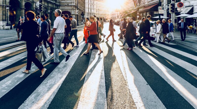 group of people walking on pedestrian lane