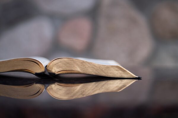 selective focus photography of book