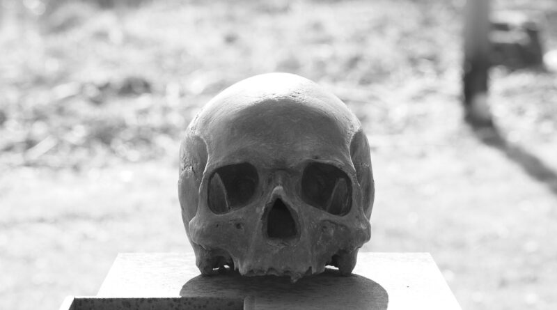 skull, head, skull and crossbones