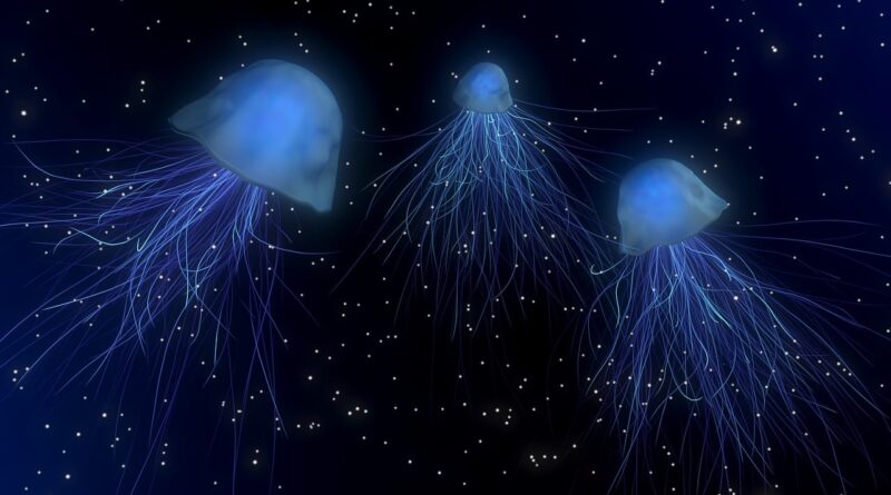 jellyfishes, sea jellies, deep sea