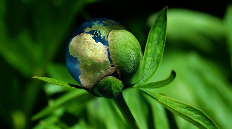 ecology, globe, concept