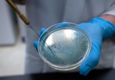 Vědci testovali smrtelné bakterie, zjistili, že vykazují žízeň po lidské krvi