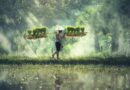 agriculture, asia, cambodia, grain, cultivate, cultivating, farmer, farmland, food, grass, indonesian, malaysia, myanmar, burma, nature, people, plant, rice, countryside, thailand, vietnamese, man, green nature, green food, green grass, green plant, green rice, green farmer, green plants, green natural, cambodia, farmer, farmer, farmer, farmer, farmer, malaysia, rice