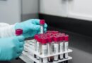 lab, experiment, test, chemistry, test tubes, laboratory, hands, gloves, surgical gloves, blood samples, lab, lab, lab, lab, lab, chemistry, laboratory, laboratory, laboratory, laboratory
