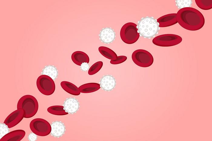 Nová studie ukazuje, že u pacientů s rakovinou krve pomáhá geneticky modifikovaná transplantace kmenových buněk předcházet  vedlejším toxickým účinkům a potenciálně zlepšuje účinnost terapií.