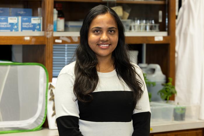 Devi Balakrishnan, Ph.D., z katedry entomologie a rostlinné patologie na Arkansaské zemědělské experimentální stanici, byla první autorkou článku „Rýžové klásky chytají a zabíjejí housenky pomocí trichomů“, publikovaného v časopise Ecological Processes v březnu 2026 se svým poradcem Rupeshem Kariyatem.
