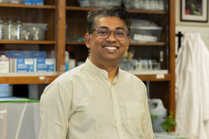 
Rupesh Kariyat, docent entomologie plodin na katedře entomologie a rostlinné patologie na Arkansaské zemědělské experimentální stanici.